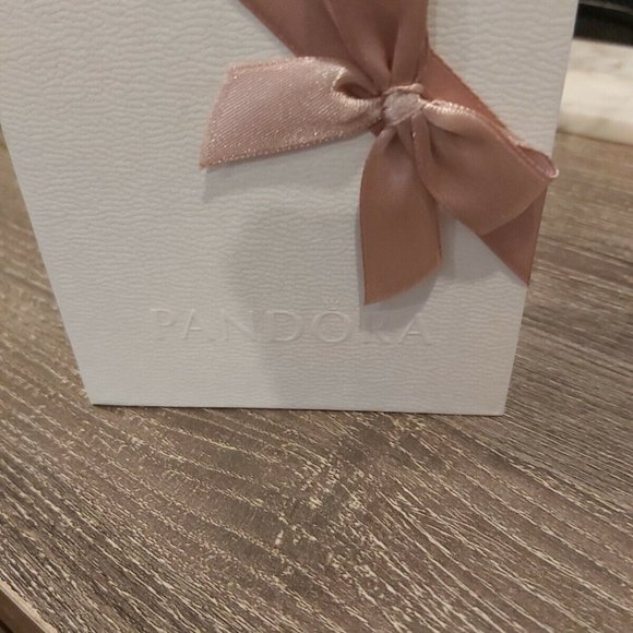 BRAND NEW SMALL PANDORA CHARM BOX HOLDER WILL HOLD AT LEAST 8 CHARMS - Picture 10 of 10